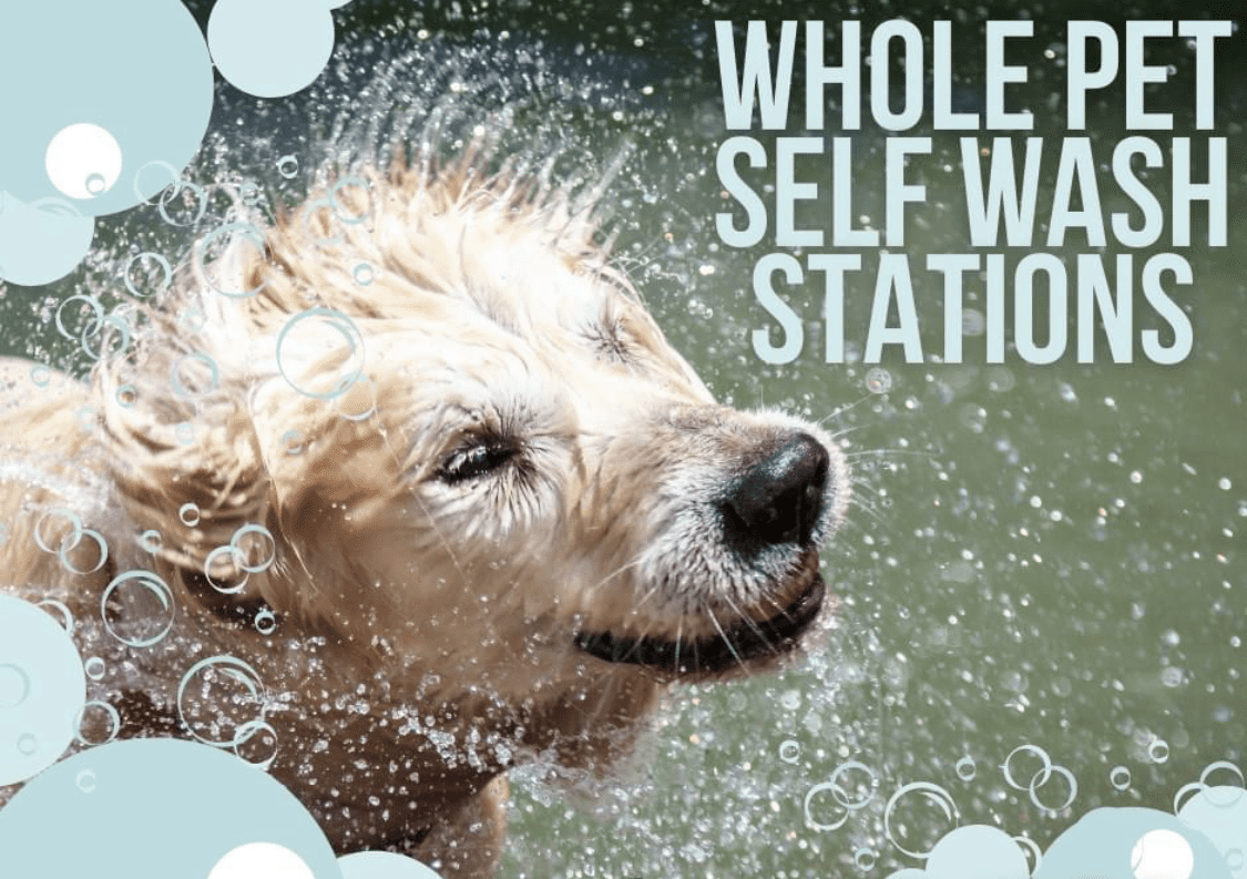 pet supplies springdale