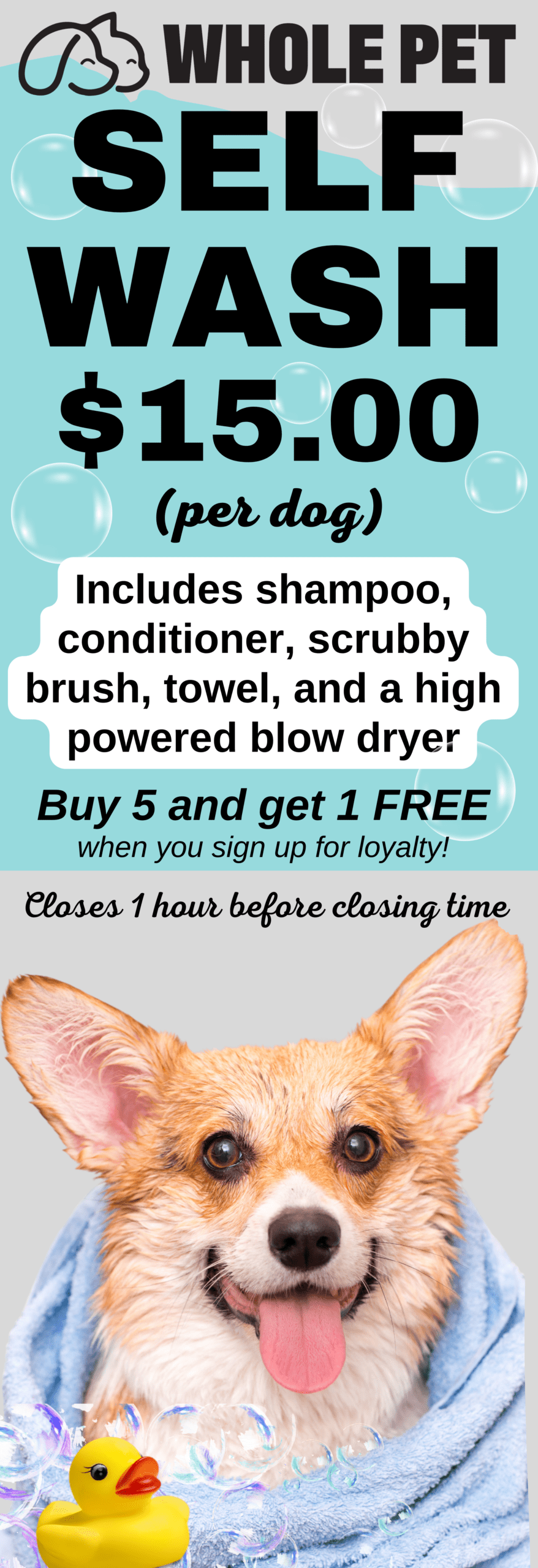 WHOLE PET SELF WASH BANNER