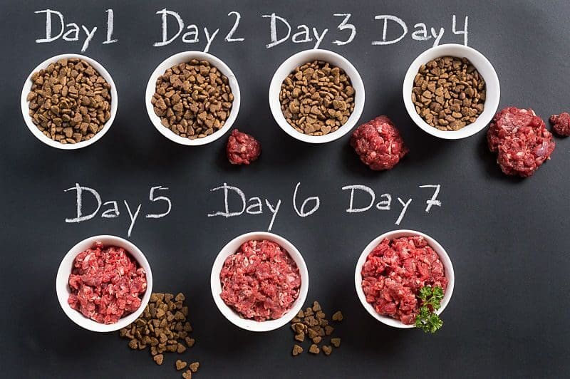 Raw Food Transitioning